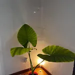 Departamento Estudio En Zona Centrica